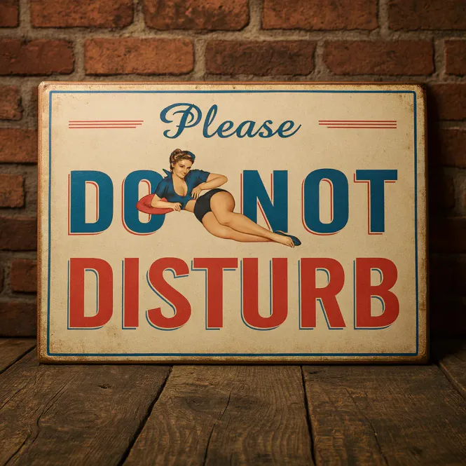 Hovedbilde Do not disturb vintage metall skilt 30x40cm 