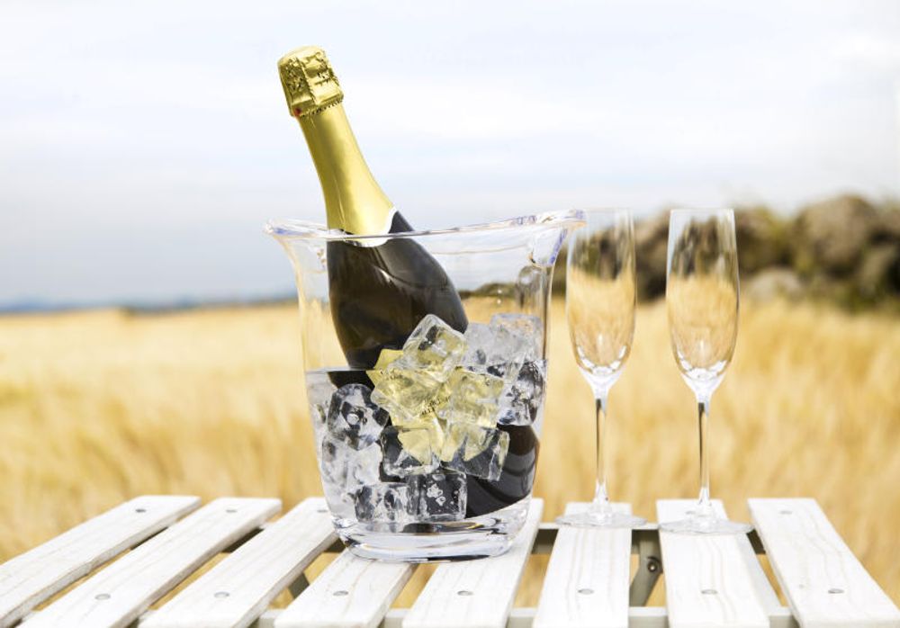 Sontell Champagneglass 6stk