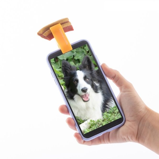 Hovedbilde Selfie-klipp for kjæledyr Innovagoods