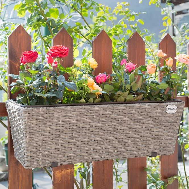 Hovedbilde Polyrotting blomsterkasse sett med 2 - krem