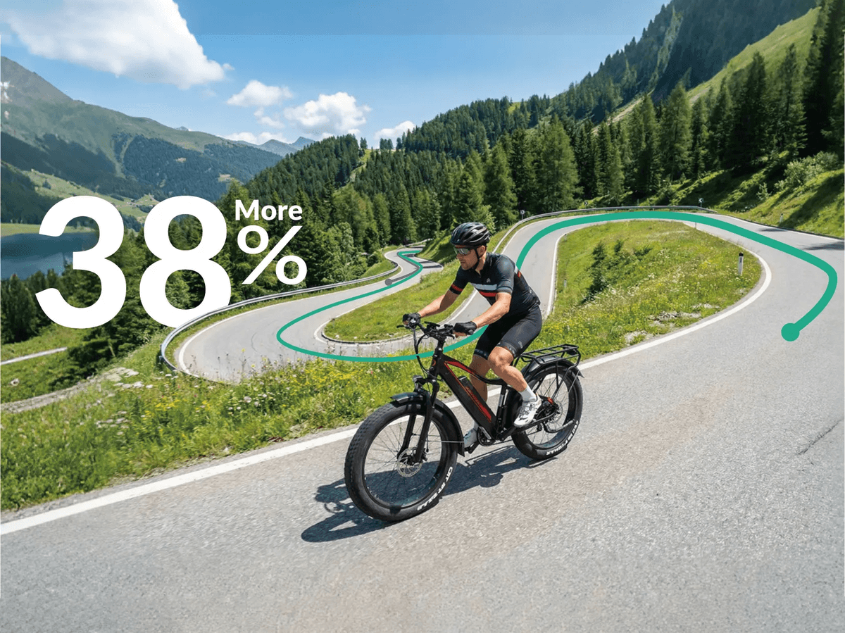 JOBOBIKE Robin PRO elsykkel fatbike 250W - 180km